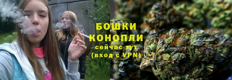 KRAKEN ТОР  Александров  Бошки марихуана Bruce Banner 